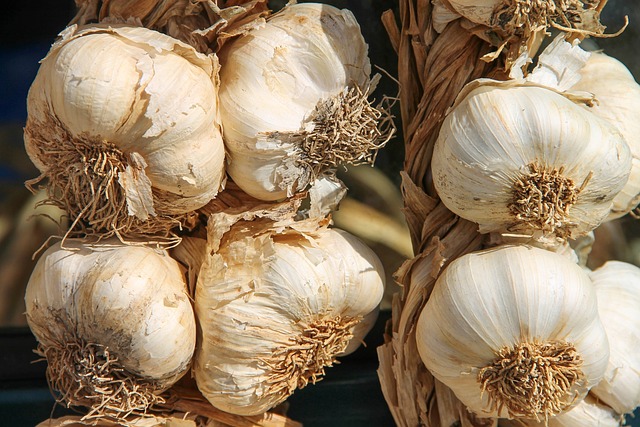 garlic-3747176-640.jpg