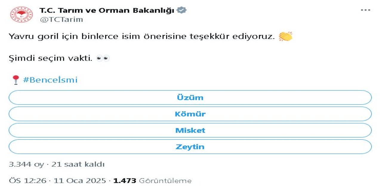 bakanlik-yavru-goril-icin-en-cok-oneril-510830-151243.jpg