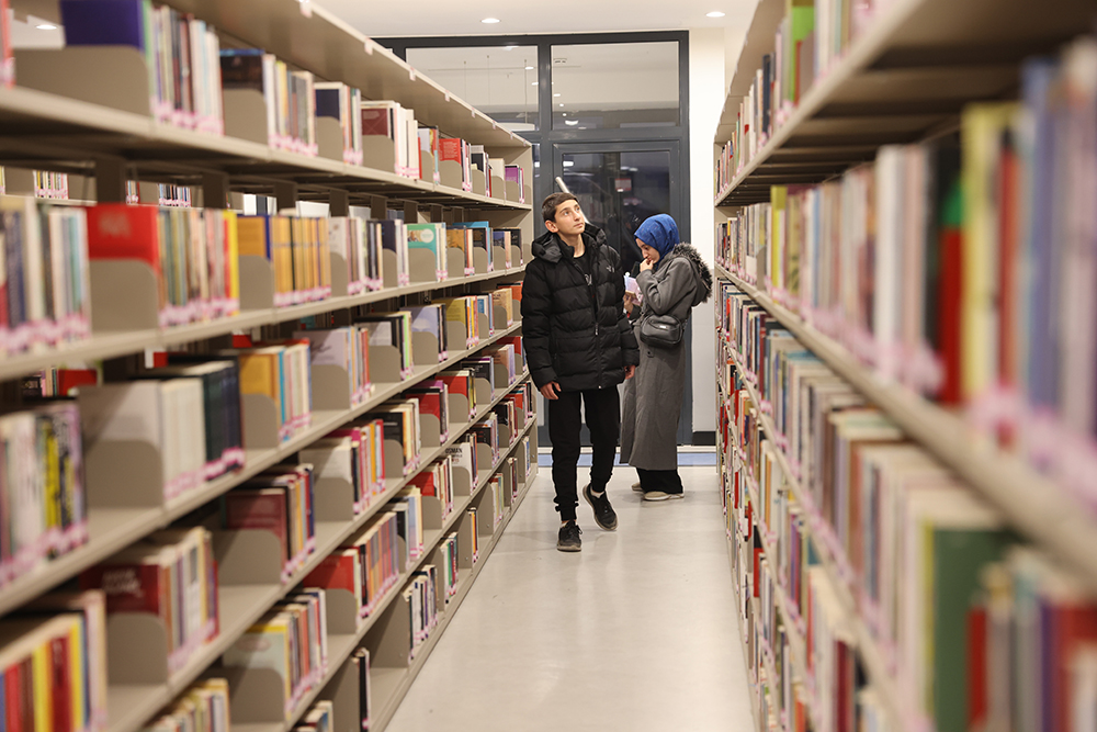 slbl7248.jpg