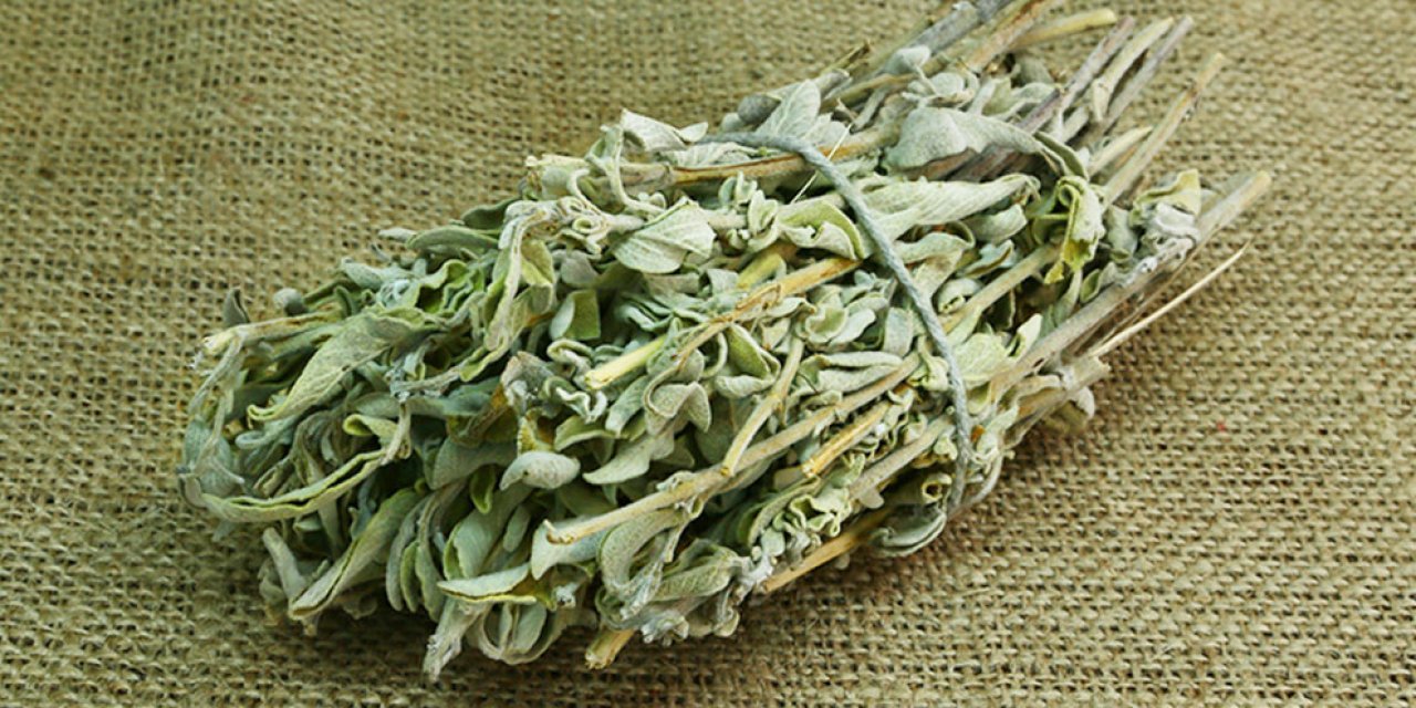 adacayi-001.jpg