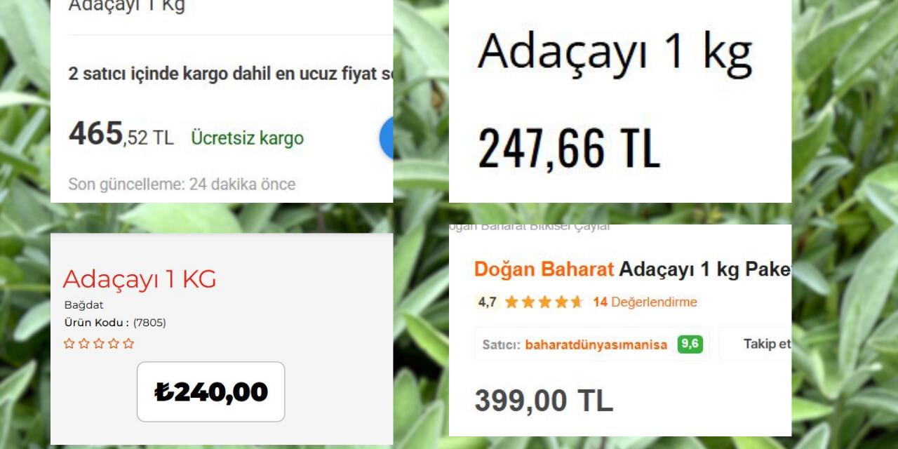 adacayi-kilogram-fiyatlari.png