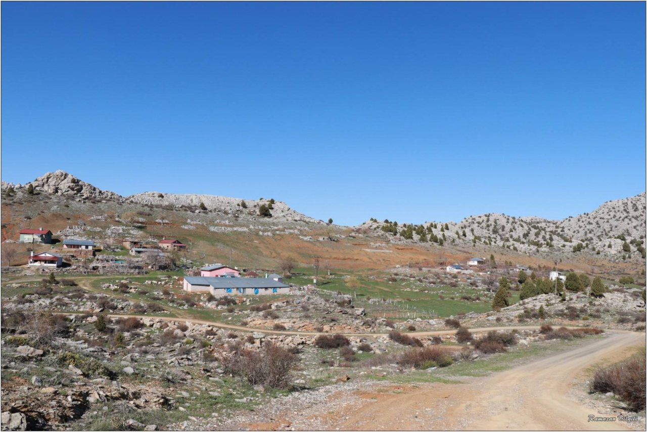 dedemli-evleri-konya-yayla-2.jpeg