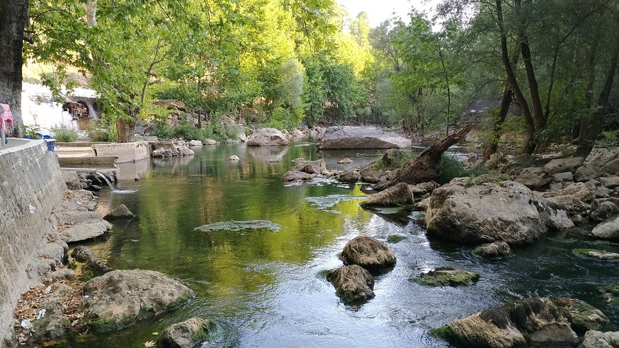 zumdere-milli-parki.jpg