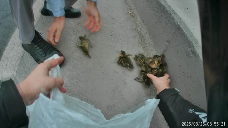 kişi, şahıs, giyim, yer, dış mekan içeren bir resim Yapay zeka tarafından oluşturulan içerik yanlış olabilir.