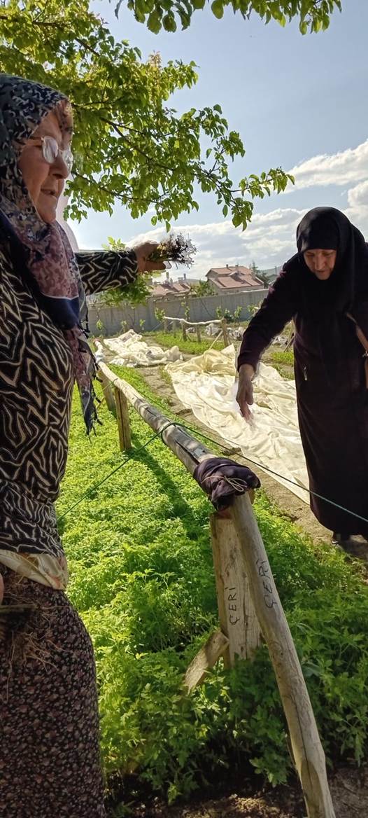 dış mekan, giyim, kişi, şahıs, bitki içeren bir resim Yapay zeka tarafından oluşturulmuş içerik yanlış olabilir.